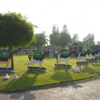 dsc03725