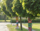 dsc03727