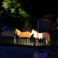 zuidenveld 2013