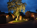 zuidenveld 2013