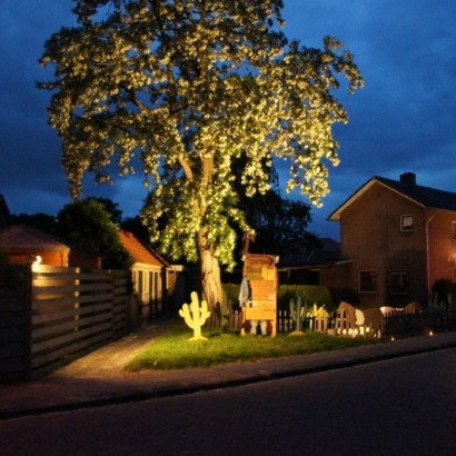 zuidenveld 2013