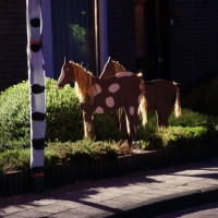 zuidenveld 2013