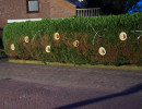 zuidenveld 2013