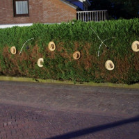 zuidenveld 2013