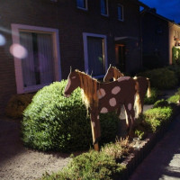 zuidenveld 2013
