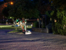 zuidenveld 2013